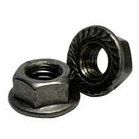 MSFN162P M16-2.0 Hex Flange Nut, Serrated, Coarse, Class 8, DIN 6923, Plain